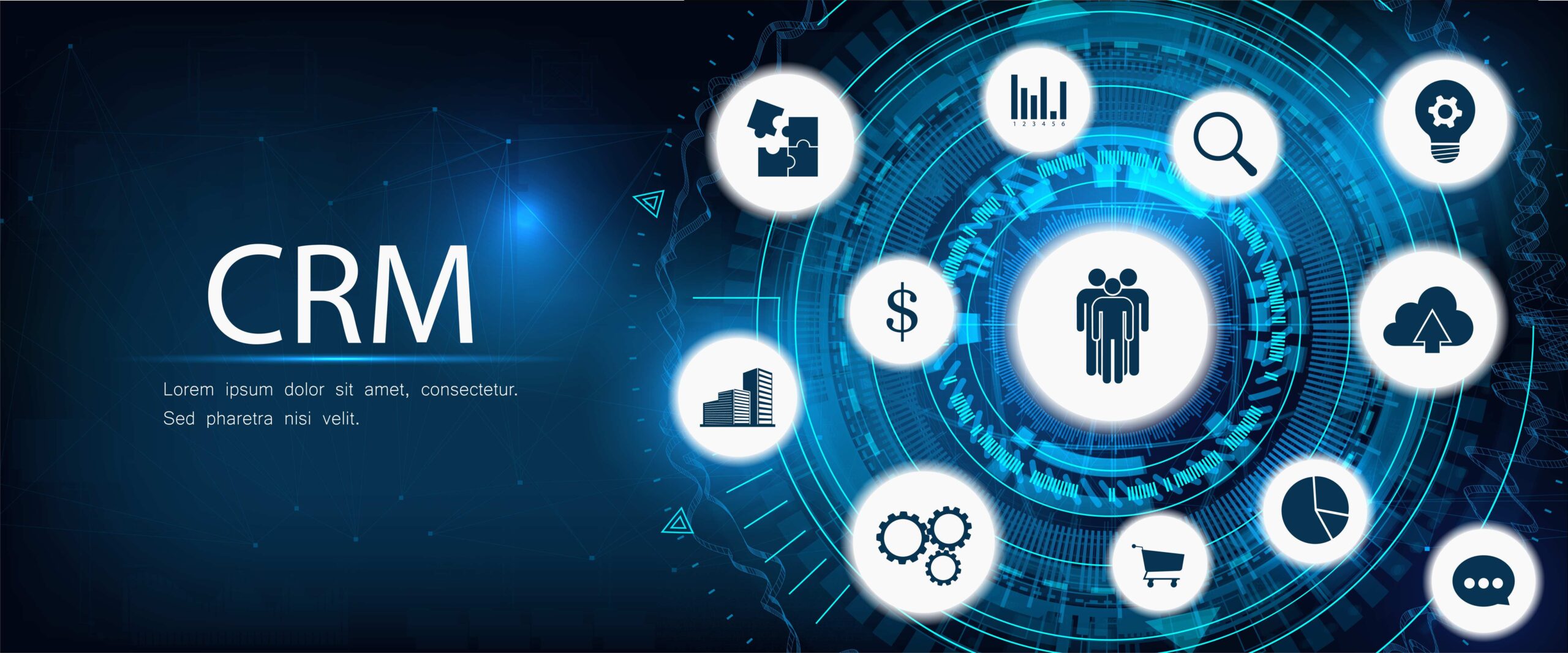 siebel crm testing